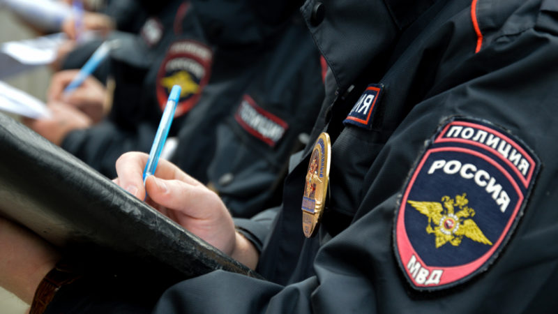 Рузские полицейские расследуют кражу ворот с участка местной жительницы