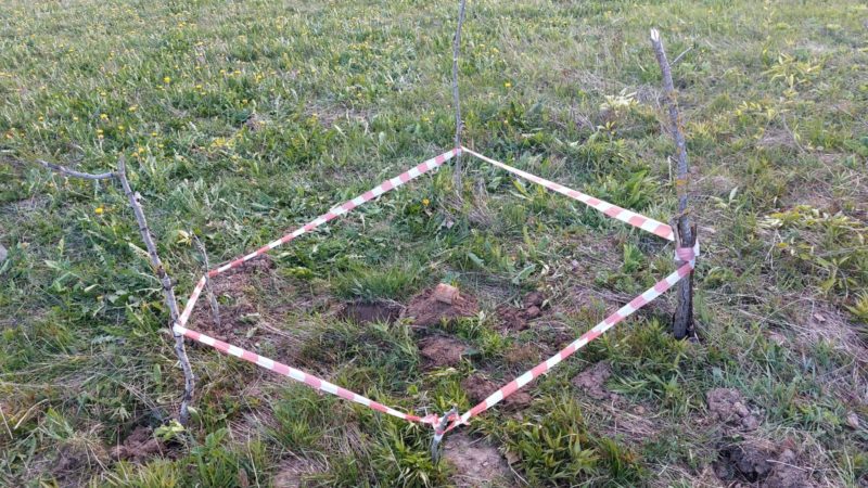 В Рузском округе уничтожили гранату времен ВОВ