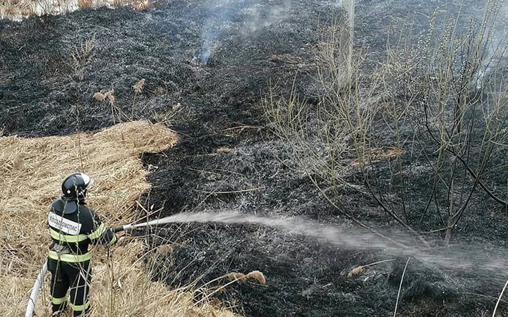 Ружане, не разводите костры в лесах!