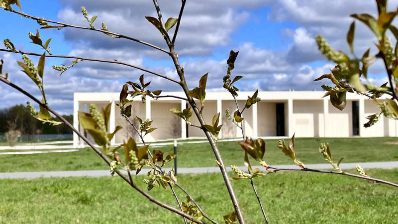 На территории музея «ЗОЯ» появился «Сад Памяти»