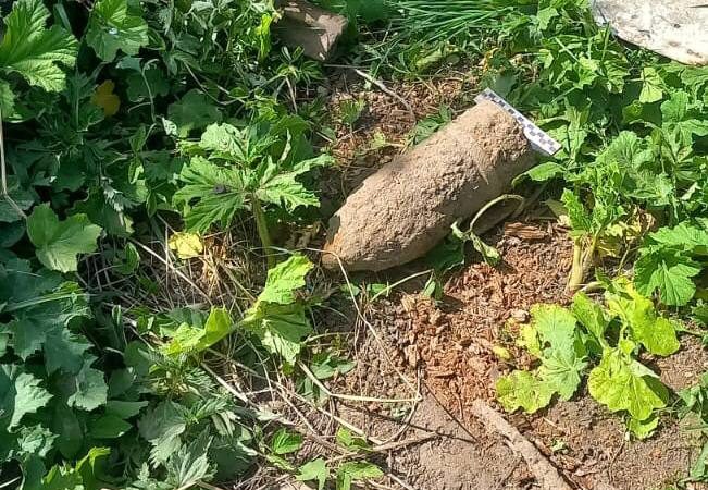 В Рузском округе ликвидировали боеприпасы времен ВОВ
