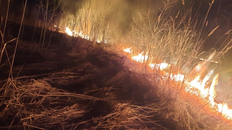 Ружанам напоминают о недопустимости сжигания сухой травы