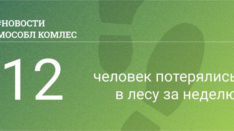 12 человек вывели из лесов Подмосковья за неделю