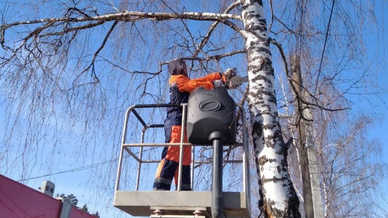 В Рузском округе обрезают деревья и кустарники