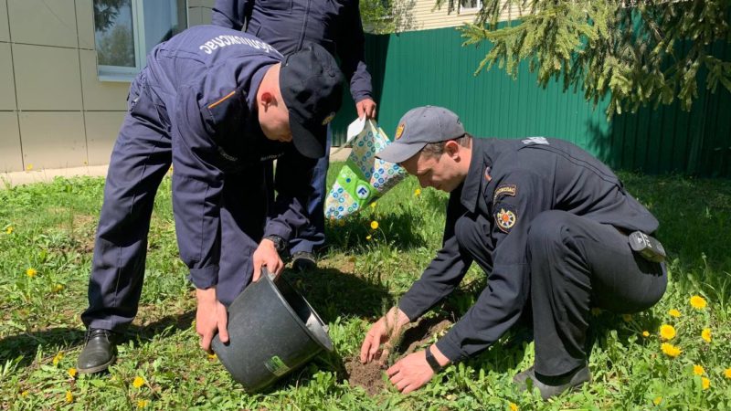 Пожарные сажали деревья