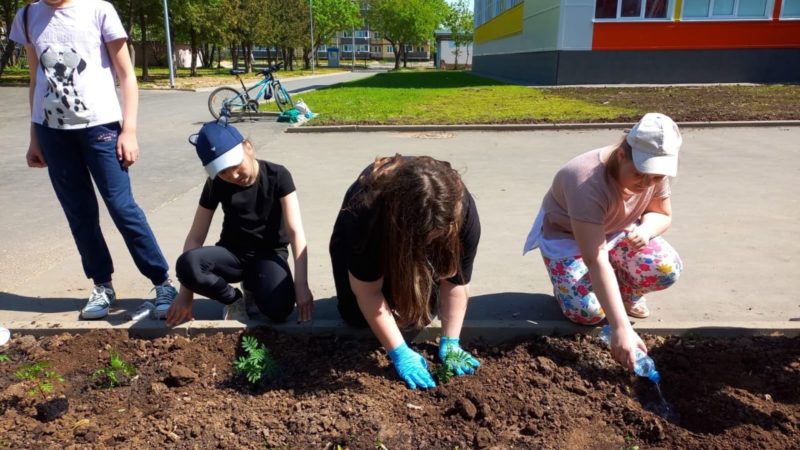 Юные тучковцы озеленяют территорию школы