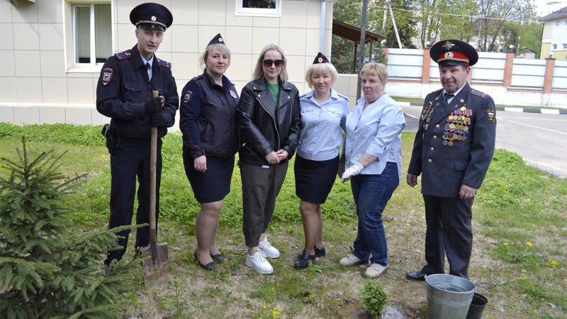Рузские полицейские высадили туи в рамках акции «Лес Победы»