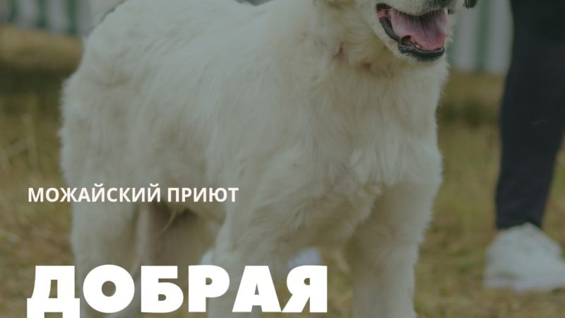 Ружан приглашают в «Добрую поездку»