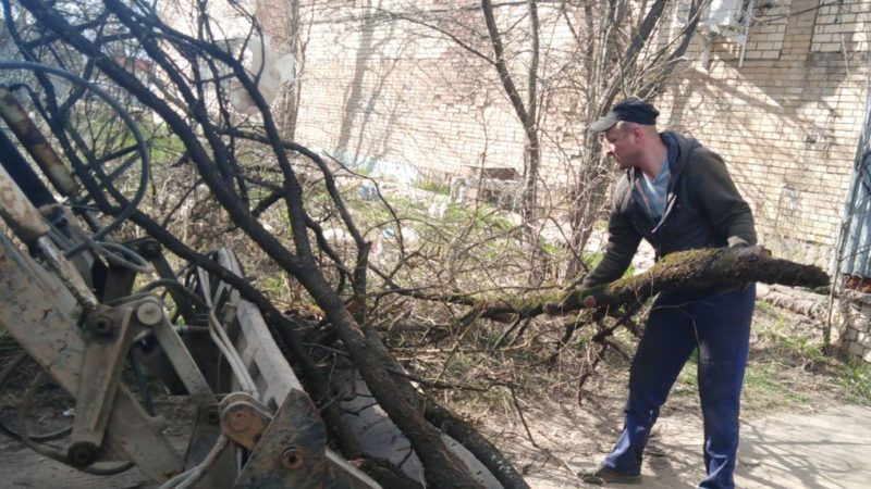 В Рузском округе убирают порубочные остатки