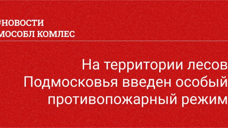 Жителям Рузского городского округа  – о противопожарном режиме в лесах