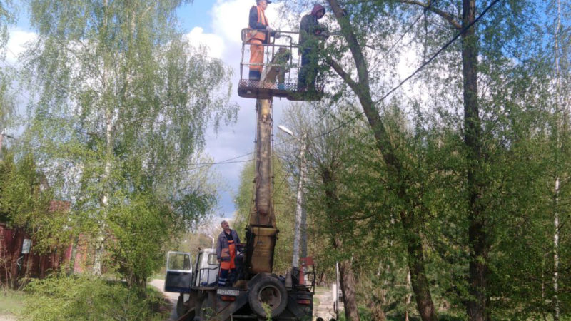 В Рузском округе кронируют деревья