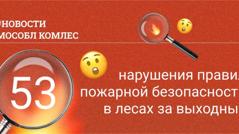 Жителям Рузского городского округа напоминают о противопожарном режиме в лесах
