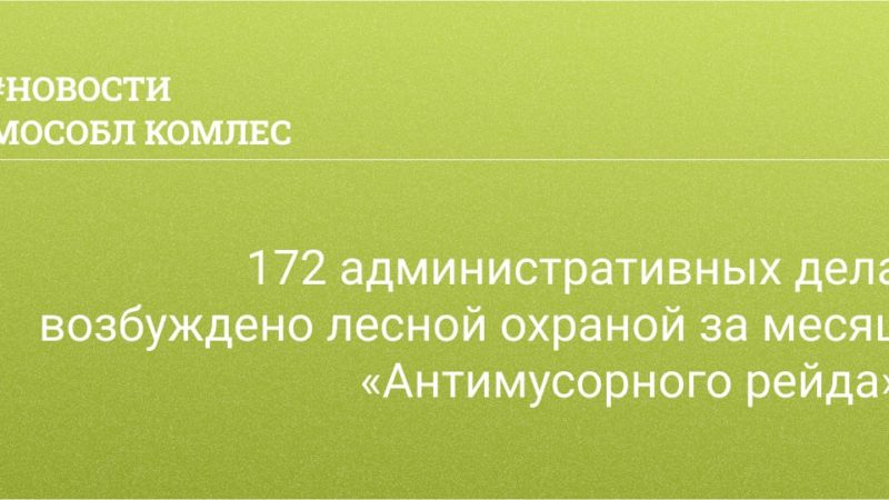 Ружанам – об «Антимусорном рейде» в подмосковных лесах