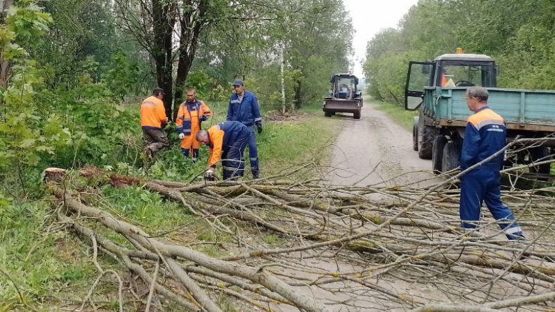 В Рузском округе проводят опиловку деревьев