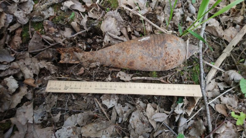 В Рузском округе мину времен ВОВ уничтожили на месте обнаружения