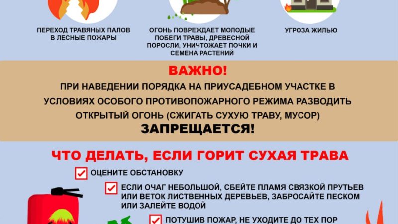 Ружане, не допускайте лесных пожаров!