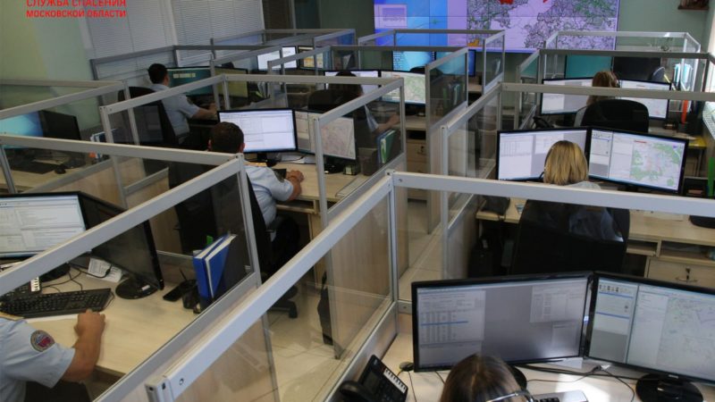 Что нужно знать ружанам, отправившимся в лес