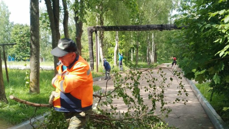 В Рузском округе кронируют зеленые насаждения