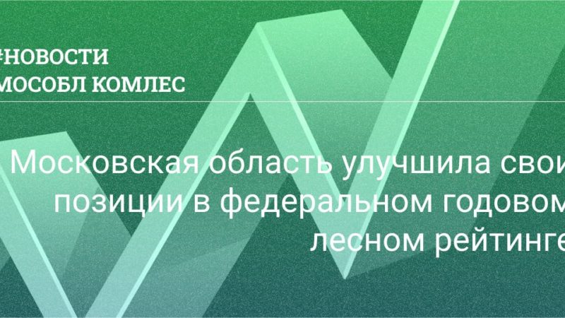 Московская область – на 23-м месте в федеральном годовом лесном рейтинге