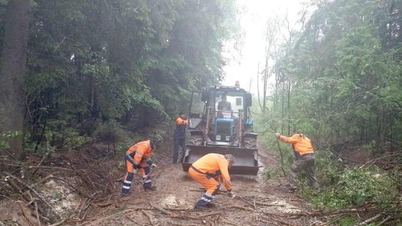 В Рузском округе вывозят порубочные остатки