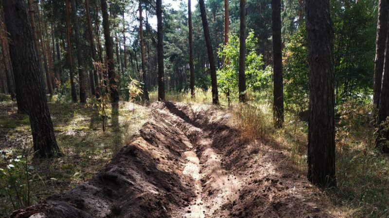 Жителям Рузского городского округа сообщают: детские лагеря оградили от возможных лесных пожаров минполосами