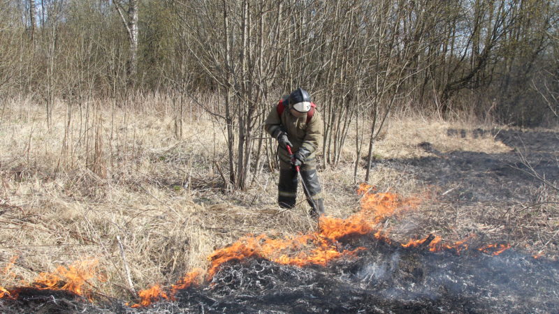 Ружанам – от ответственности за нарушение правил пожарной безопасности в лесу