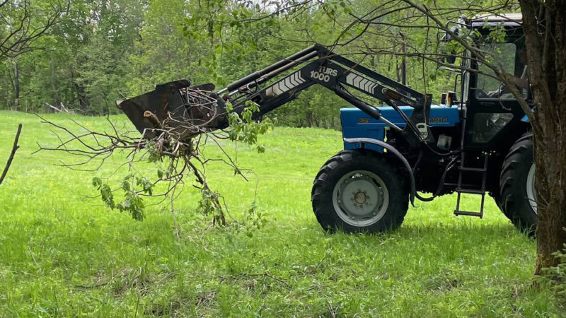 В Рузском округе вывозят ветки