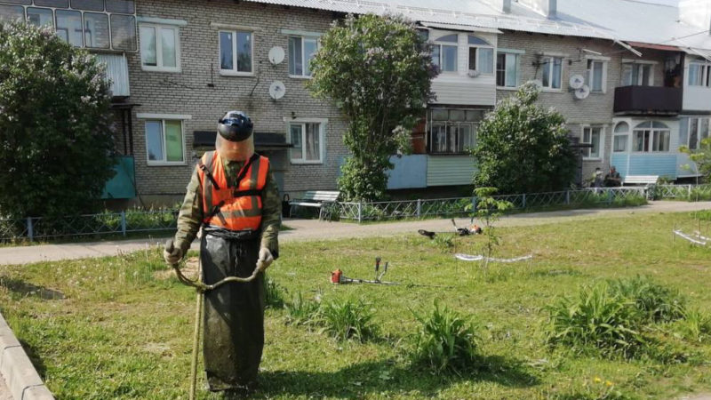 В Рузском округе приводят в порядок газоны