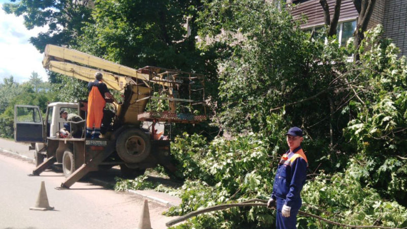 В Рузском округе обрезают ветки