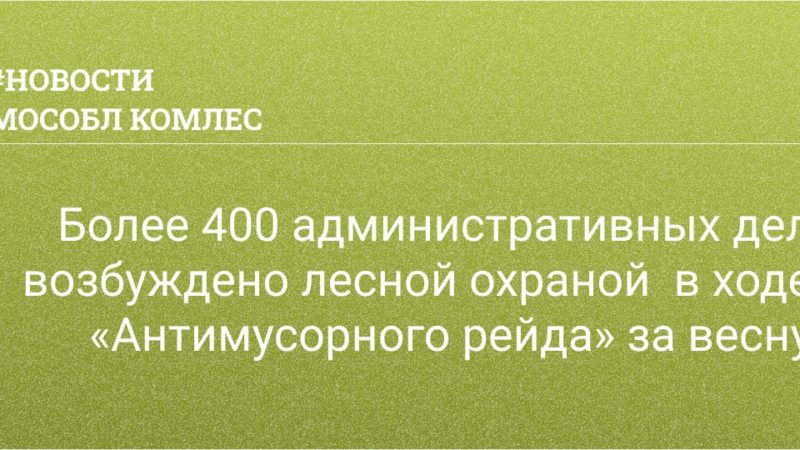 Более 400 административных дел возбуждено сотрудниками лесной охраны в ходе «Антимусорного рейда»