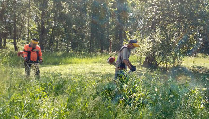 В Рузском округе окашивают газоны