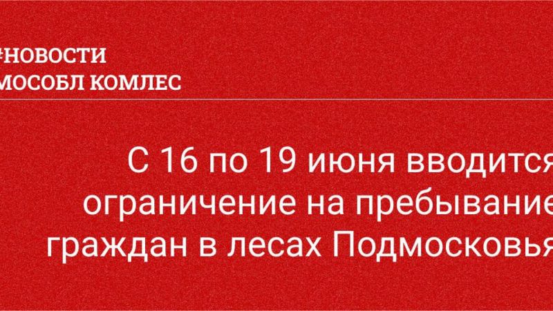 Жителям Рузского городского округа – о пожароопасной обстановке в лесах