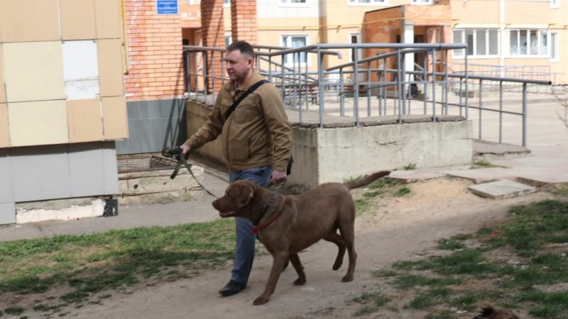 Ружане, соблюдайте меры профилактики бешенства!