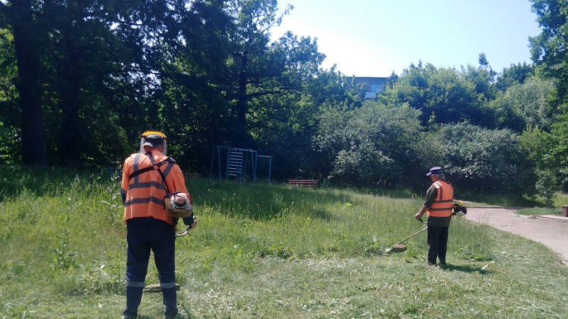 В Рузском округе окашивают общественные территории