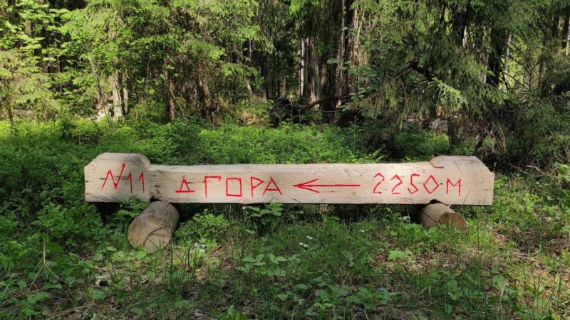 Более 70 лавочек-навигаторов установлено в подмосковных лесах с начала года