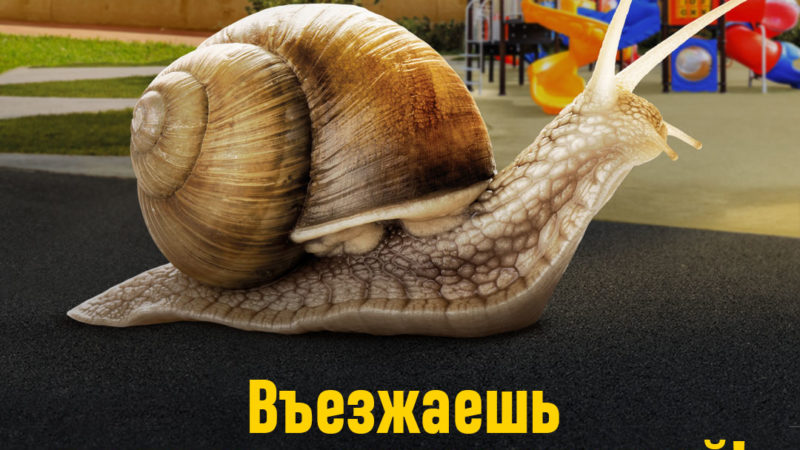 Внимание – детям и водителям