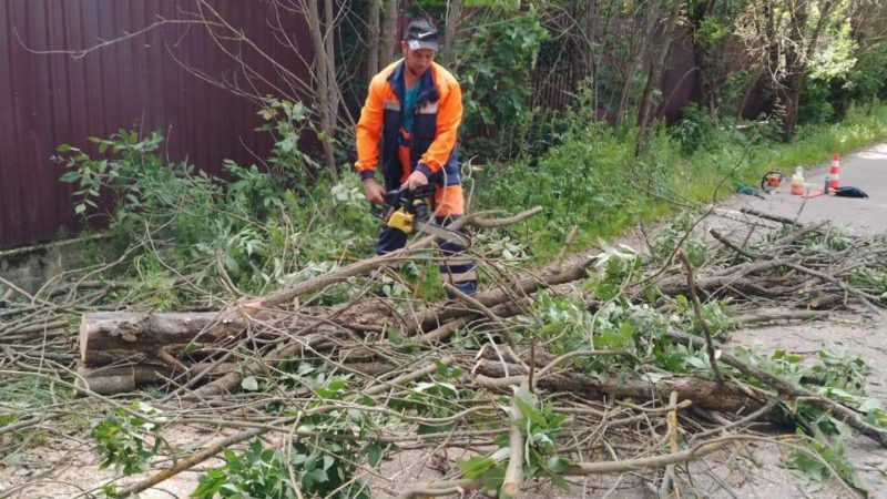В Рузском округе проводят опиловку деревьев