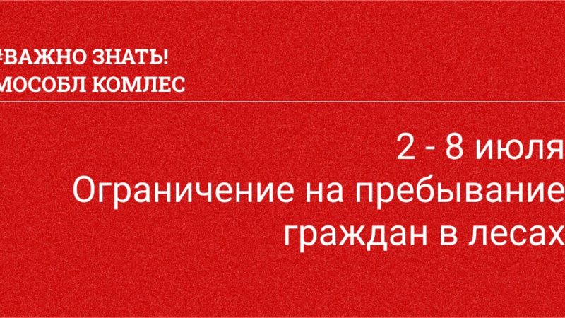 Жителей Рузского городского округа информируют об ограничении посещения лесов