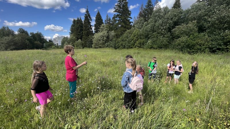 В Старорузской библиотеке рассказали о цветах и травах