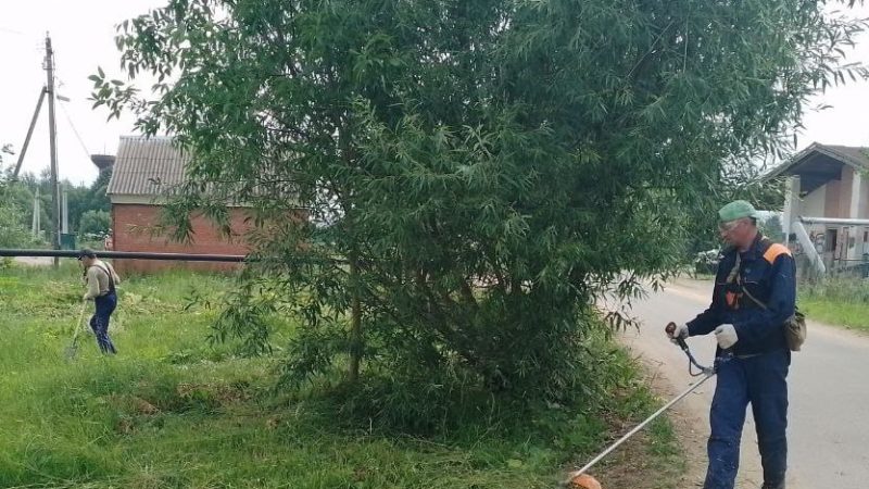 В Рузском округе косят траву