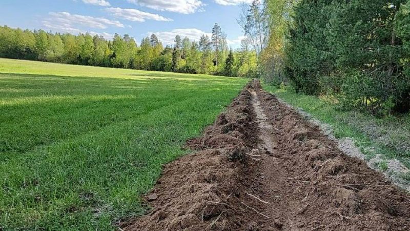 Более 130% от календарного плана выполнено по прочистке минполос в лесах Подмосковья