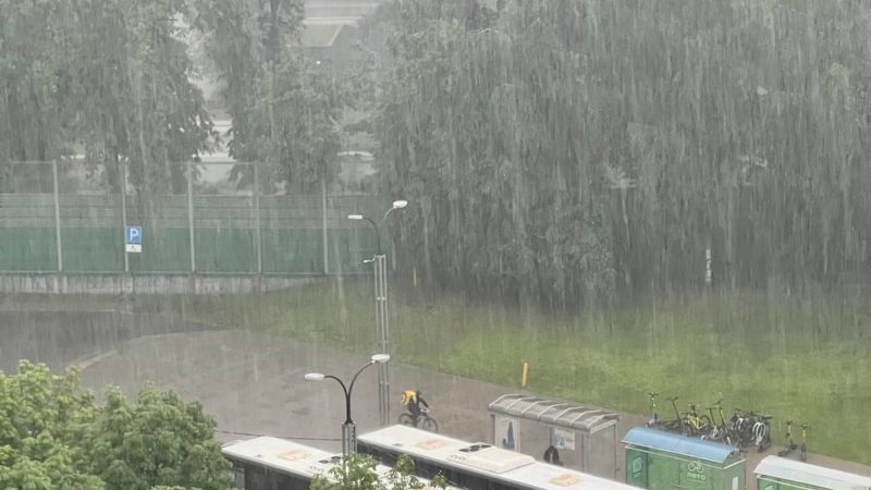 В ливень и грозу все внимание – на дорогу