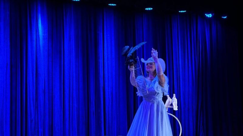 Юные тучковцы побывали на цирковом шоу