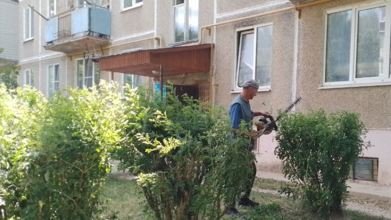 В Рузском округе приводят в порядок зеленые насаждения