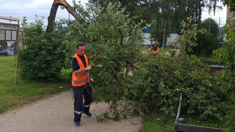 В Рузском округе обрезают зеленые насаждения