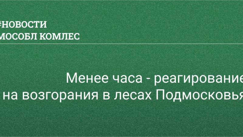 Пожары в лесу ликвидируют в день обнаружения