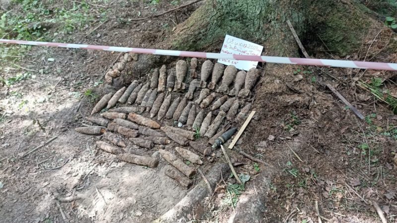 В Рузском округе обезвредили 50 боеприпасов времен ВОВ