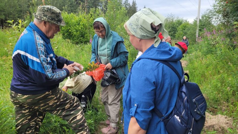 Рузским пенсионерам рассказали о пользе травяных чаев