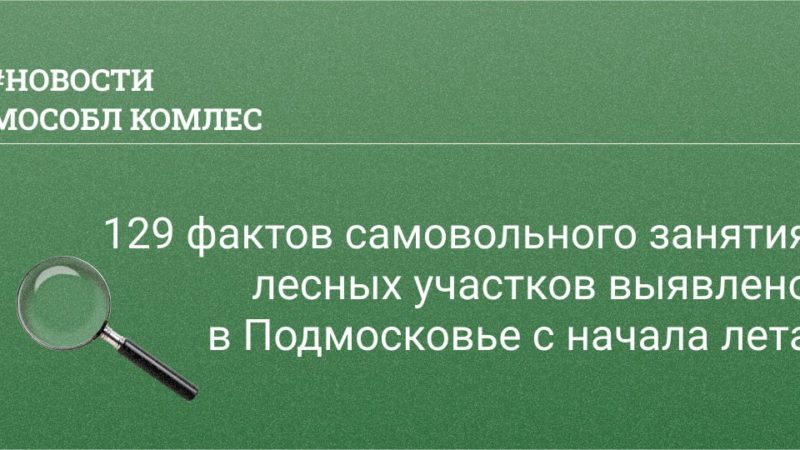 129 фактов самовольного занятия лесных участков выявлено в Подмосковье с начала лета