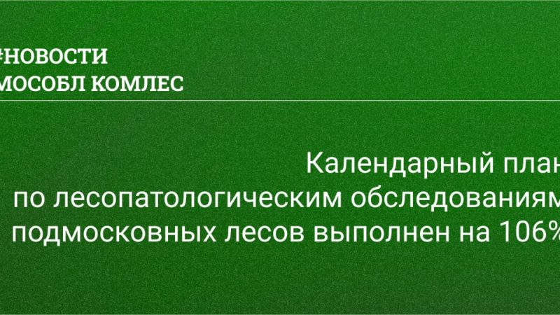 Календарный план по лесопатологическим обследованиям подмосковных лесов выполнен на 106%